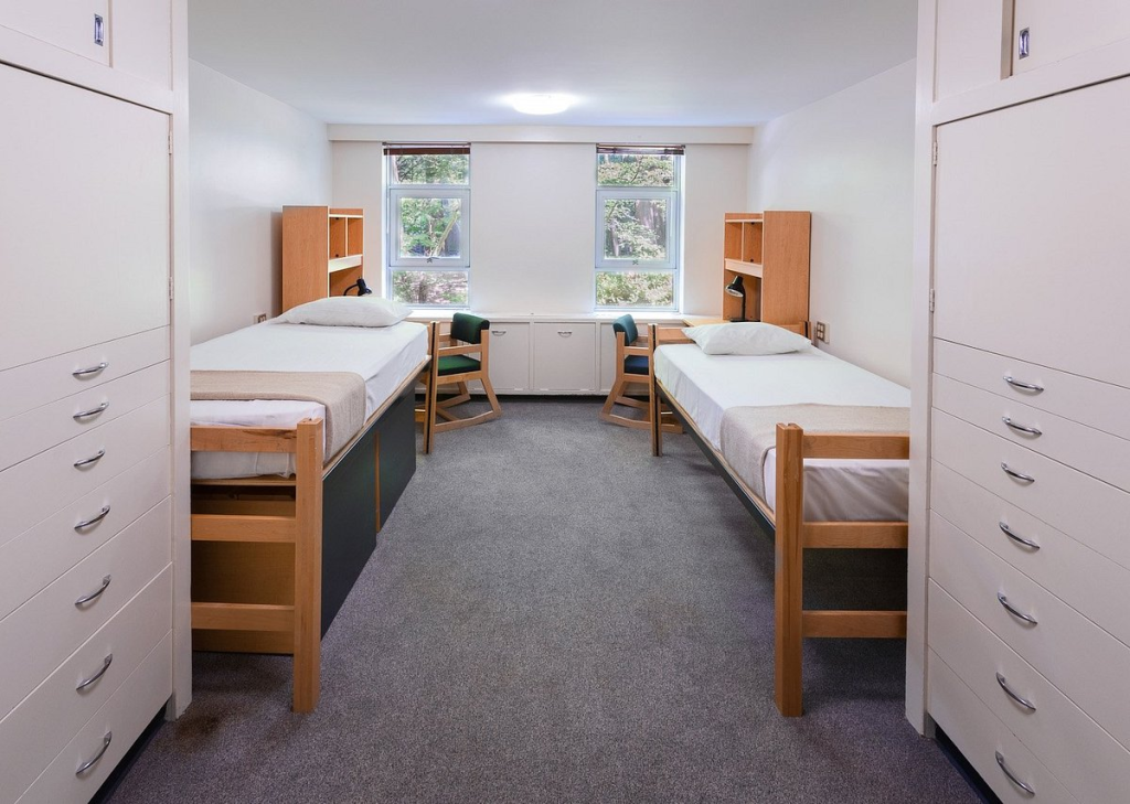 Dormitories of Saint Petersburg State Pediatric Medical University
